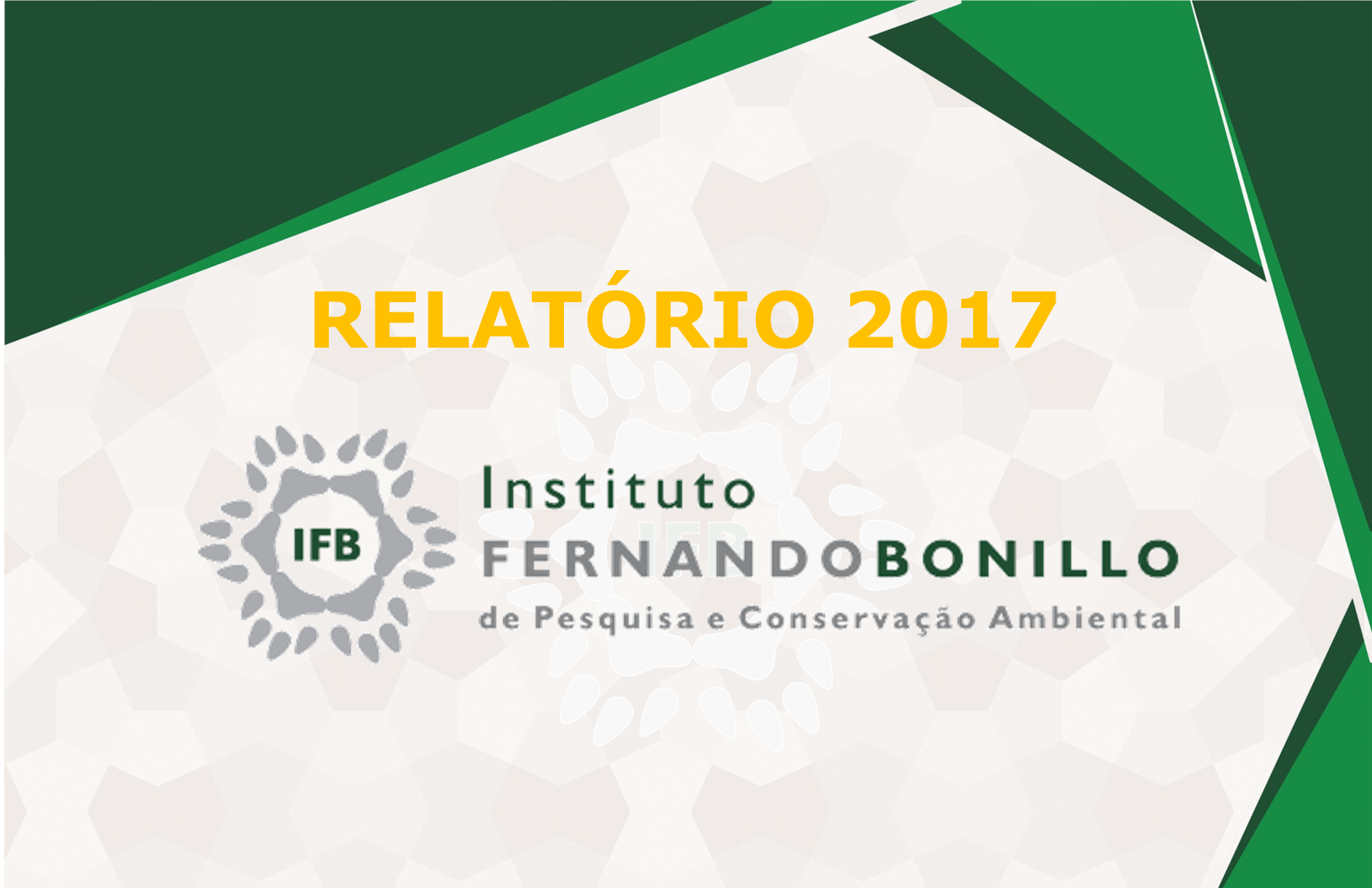 Relatório 2017 IFB