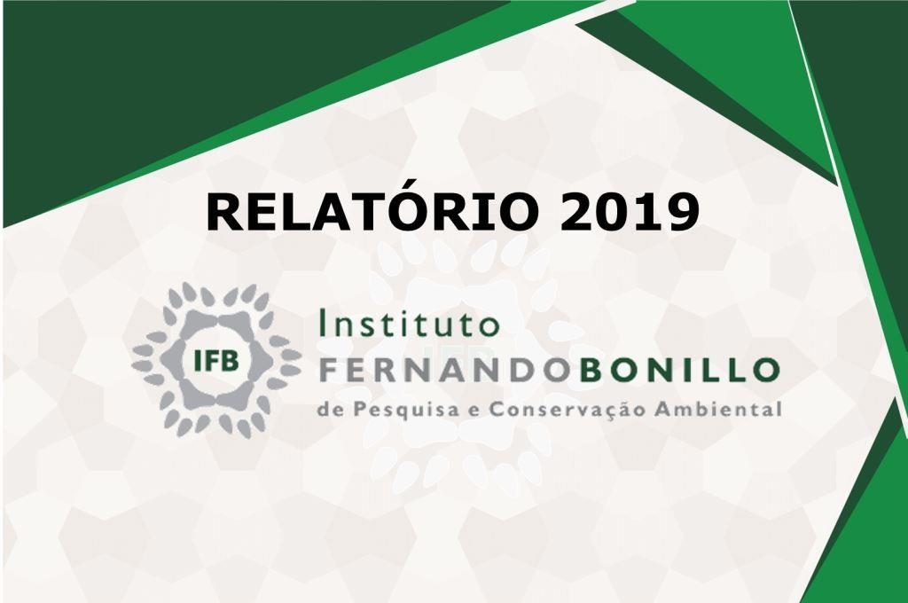 Relatório 2019 IFB