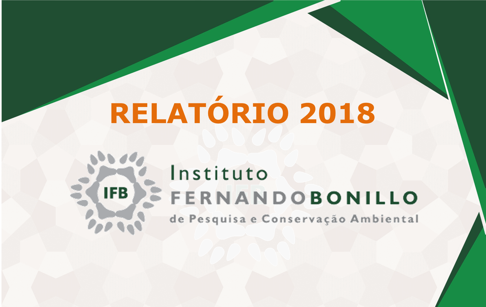 Relatório 2018 IFB